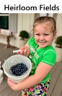 Heirloom Fields Blueberry Farm and Event
