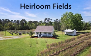 Heirloom Fields Blueberry Farm and Event